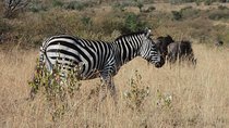 Amboseli National Park for 1 night and 2 days
