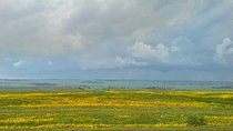 Explore the Ethiopian Rift Valley Lakes and the UNESCO Site of Steles of Tiya