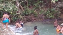 Montego Bay Shore Excursion: Private Custom Sightseeing Tour