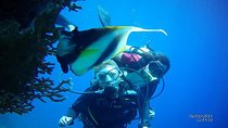 PADI 3 Days Open Water Course