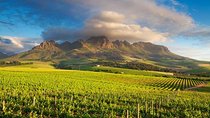 Cape Winelands - Stellenbosch, Franschoek & Paarl, small group tour 