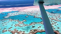 8-Day Cairns Tour: Great Barrier Reef, Kuranda, Daintree Rainforest