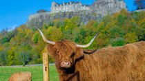 Stirling Castle,Trossachs National and Loch Lomond Day Tour from Edinburgh