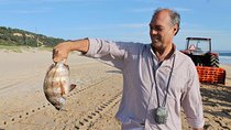 Traditional Fisherman’s Food Experience, Private Tour