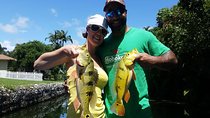 Peacock Bass Fishing Trips near Palm Beach Florida