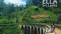 Travel to Ella from Galle with Udawalawe national park safari on the way