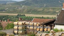 Private wine tour to Champagne region from Paris