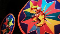 Cairo Dinner Cruise & Al Tannoura Egyptian Heritage Show