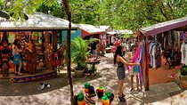 Adventure on a Budget Visit Kuranda or Palm Cove from Pt Douglas