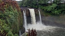 5 Hour Custom Private Tour of Hawaii