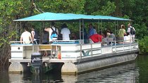 Private YS Falls and Black River Safari from Negril