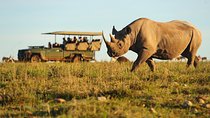 5-Day Garden Route in 4-star Accommodation (BB)