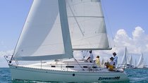 Sailboat Ride in Sado River and Atlantic Ocean - Half Day