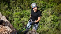 Glass House Mountains Abseiling Experience
