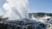  Rotorua Day Trip from Auckland with Options - Smaller groups 