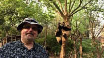 Chengdu Private Day Tour: Giant Panda Base and Qingcheng Mountain