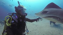 SSI Fish Identification Specialty Course in Tenerife