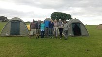 4Days Serengeti and Ngorongoro Budget Camping Safari from Arusha