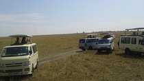 14 Days Maasai Mara, Serengeti and Zanzibar Tour from Nairobi