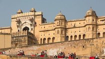 Customize Your Pink City Tour Your Own Way