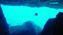 Full-Day Similans Scuba Diving from Phuket