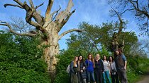 Eight Day Tour of Sacred England