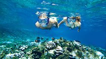 Molokini and Turtle Arches Snorkeling Trip from Ma'alaea Harbor