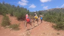 Private Day Trip from Marrakech: Camel Ride and Hike in the High Atlas Mountains