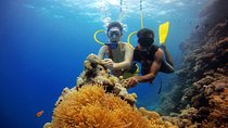 Bangaram Island Holiday