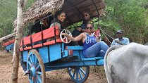 Sigiriya Rock and Village Tour from Negombo