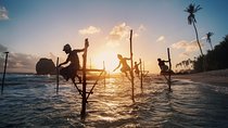 Sea, Sand and Marine Life from Negombo (2 Days)