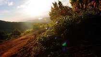 Camping in Knuckles Peak Trail (Private 1-Night)