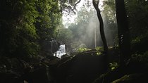 Rainforest Explorer from Bentota (2 Days)