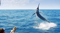 Deep Sea Fishing Ocho Rios