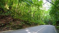 Ocho Rios Highlight Tour with River Tubing or Rafting