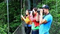 Class II-III Rafting and Hanging Bridges from La Fortuna
