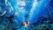 Dubai Aquarium & Level 124 Burj Khalifa Combo