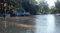 Private Tigre Delta, Northern Buenos Aires & San Isidro
