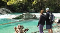 Full-Day Small-Group Routeburn Valley Walk