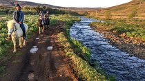 3 hour Private Horse Riding Tour in Mosfellsdalur