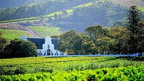 Full Day Private Family Day Out in the Winelands