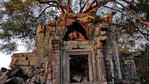 Day Trip to Beng Mealea Temple and Kampong Khleang from Siem Reap