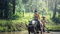 Village Life Tour from Siem Reap