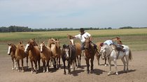 Ranch trip with private driver