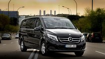 Arrival Transfer CDG or ORY Airport to Disneyland París by Van