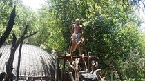 Half Day Lesedi Village Tour with Traditional Lunch Included