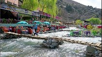 Private day trip to Ourika valley and Atlas Mountains 