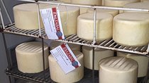 Discover the Art of Idiazabal Cheese in the Basque Country