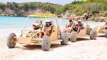 Half Day Boogie Adventure Tour And Cenote