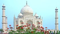 Taj Mahal Day Trip By Express Train From Delhi